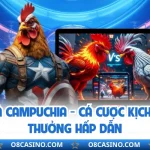 Đá Gà Campuchia - Cá Cược Kịch Tính, Thưởng Hấp Dẫn
