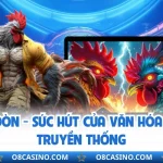 Đá Gà Đòn - Sức Hút Của Văn Hóa Giải Trí Truyền Thống