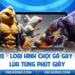 Đá Gà Tre - Loại Hình Chọi Gà Gay Cấn Nảy Lửa Từng Phút Giây